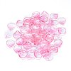 Transparent Glass Charms GLAA-H016-05E-10-1