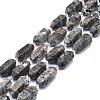 Natural Fluorescent Syenite Rock(Glow under UV Light) Beads Strands G-F715-055-1