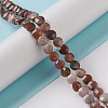 Natural Petrified Wood Beads Strands G-K332-B02-4