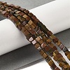 Natural Picasso Jasper Beads Strands G-Q161-C01-01-2