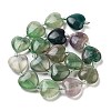 Natural Fluorite Beads Strands G-C150-A16-01-4