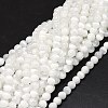 Natural Selenite Beads Strands G-O201A-02B-1