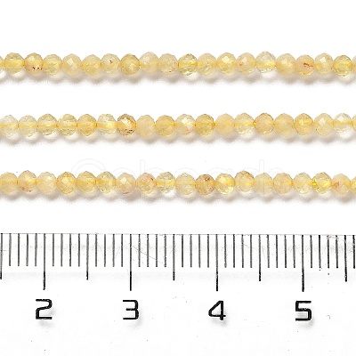 Natural Citrine Beads Strands G-Z074-A03-01-1