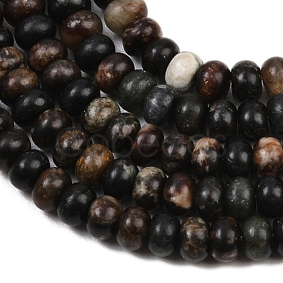 Natural Biotite Beads Strands G-L647-D05-4x6mm-1