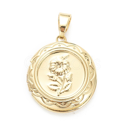 Brass Locket Pendants LS-KK-P199-07G-1