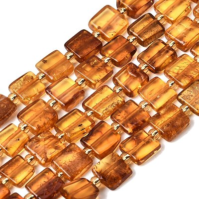 Natural Amber Beads Strands G-C260-A01-06-1