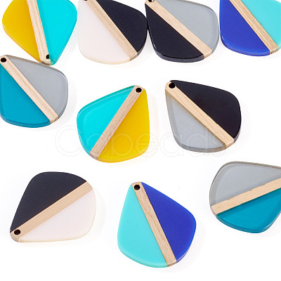 10Pcs 5 Colors Transparent & Opaque Resin & Wood Pendants RESI-TA0004-64-1