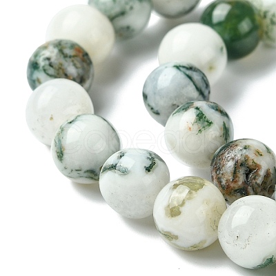 Natural Tree Agate Beads Strands X-G-K194-8mm-02-1