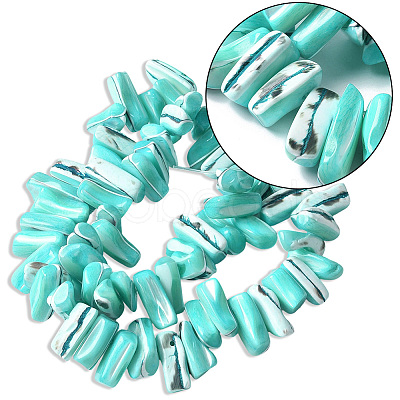 1 Strand Dyed Natural Trochus Shell Beads Strands SSHEL-PA0001-01D-1