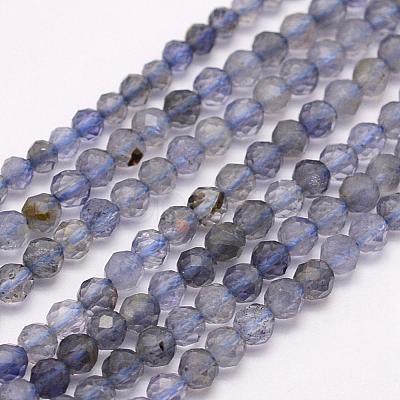 Natural Cordierite/Iolite/Dichroite Beads Strands G-F509-15-3mm-1