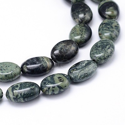 Natural Kambaba Jasper Beads Strands G-M206-17-1