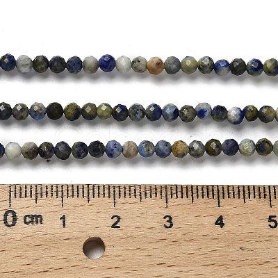 Natural Lapis Lazuli Beads Strands G-RM2025-A21-3mm-1
