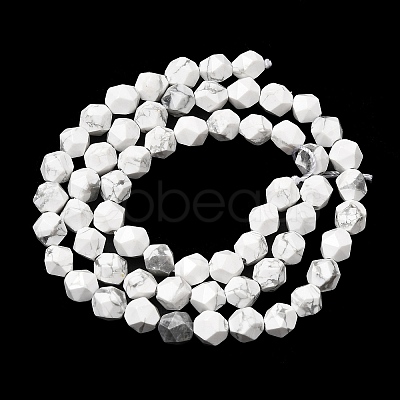 Natural Howlite Beads Strands G-Z119-A43-01-1