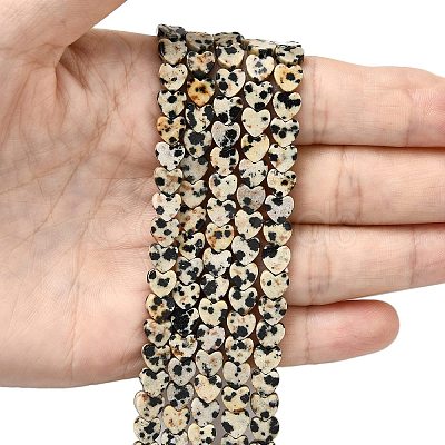 Natural Dalmatian Jasper Beads Strands G-A272-A01-32-1