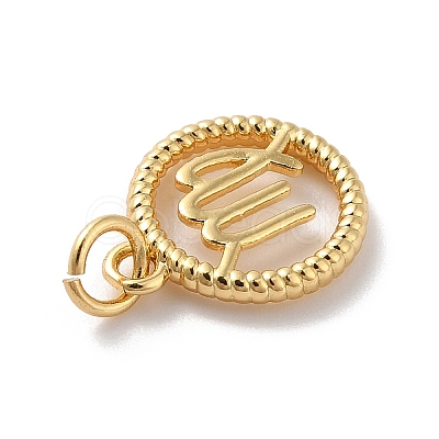 Brass Charms KK-A160-20G-06-1