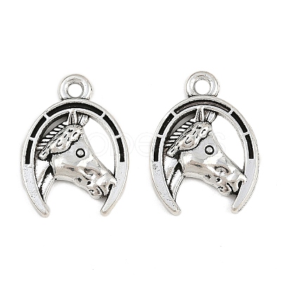 Tibetan Style Alloy Pendants TIBE-B003-19AS-1