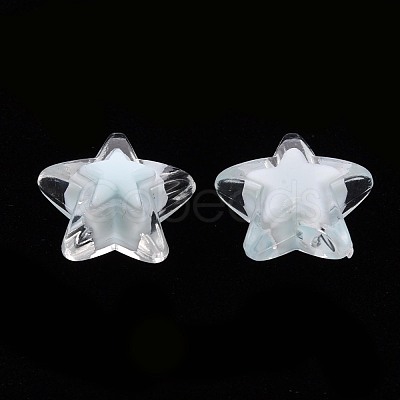 Transparent Acrylic Beads TACR-S152-11A-10-1