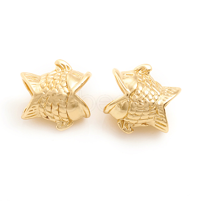 Matte Style Brass European Beads MPDL-L031-002MG-1
