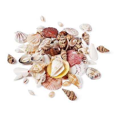 Mixed Shell Beads BSHE-TA0002-05-1
