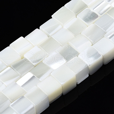 Natural Trochid Shell/Trochus Shell Beads Strands SSHEL-S266-008-1