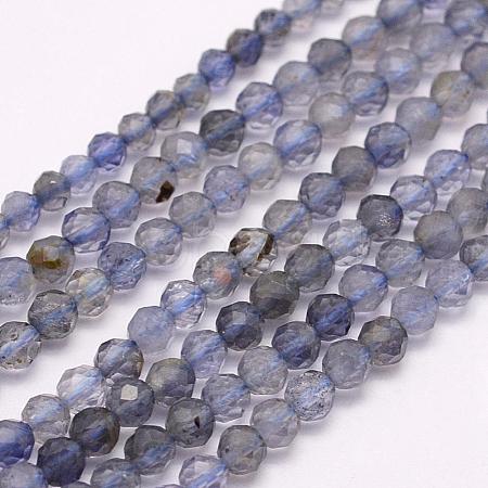 Natural Cordierite/Iolite/Dichroite Beads Strands G-F509-15-3mm-1