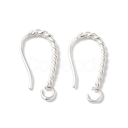 Long-Lasting Plated Brass Ear Wire KK-K381-07S-1