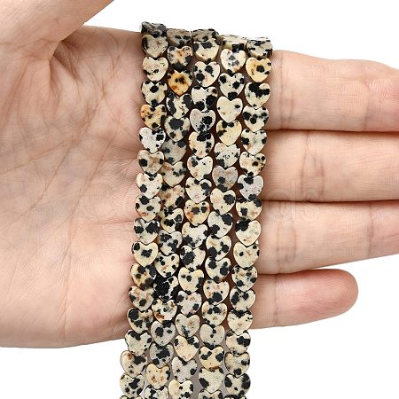 Natural Dalmatian Jasper Beads Strands G-A272-A01-32-1
