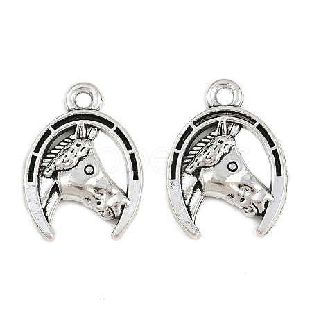Tibetan Style Alloy Pendants TIBE-B003-19AS-1