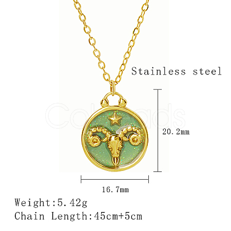 304 Stainless Steel Enamel Constellation Pendant Necklaces DJ0261-2-1-1