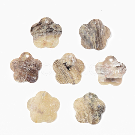 Natural Akoya Shell Pendants SHEL-R048-024-1