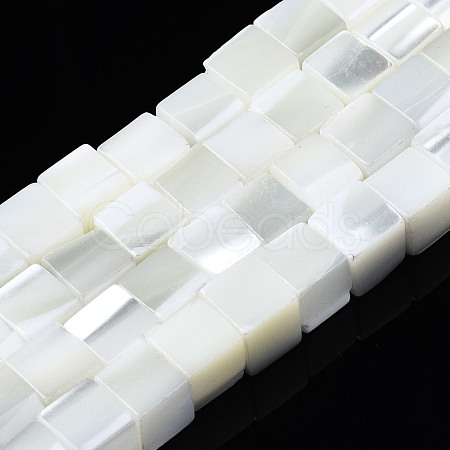 Natural Trochid Shell/Trochus Shell Beads Strands SSHEL-S266-008-1
