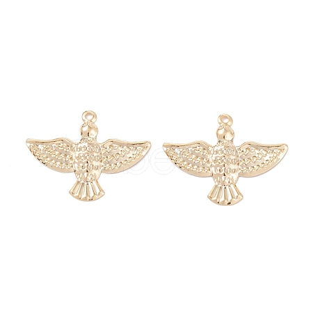 Brass Pendants KK-K253-05G-1