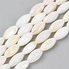 Natural Freshwater Shell Beads Strands SSHEL-R048-008-1