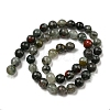 Natural Afican Bloodstone Beads Strands G-C079-B02-01-3