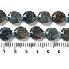 Natural Chrysocolla Beads Strands G-NH0004-034-5