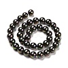 Shell Pearl Bead Strands BSHE-L025-05-10mm-5