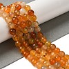 Dyed & Heated Natural Dragon Veins Agate Beads Strands G-P539-A01-19-2