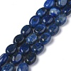 Natural Lapis Lazuli Bead Strands G-Z006-A26-1