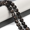 Tibetan Style dZi Beads G-K166-02-10mm-L3-01-2