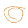 Natural Freshwater Shell Dyed Beads Strands SHEL-M018-12-07-2