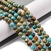 Dyed Natural Regalite/Imperial Jasper/Sea Sediment Jasper Beads Strands G-B124-C02-06-2