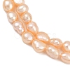 Natural Cultured Freshwater Pearl Beads Strands PEAR-P064-20J-03B-4