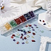 7 Style Natural Mixed Gemstone Beads G-YW0001-09-6