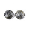 Natural Labradorite Connector Charms G-N326-149A-1