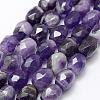 Natural Amethyst Beads Strands G-P322-45-1