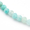 Natural Amazonite Beaded Necklaces NJEW-JN03315-03-2