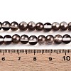 Baking Paint Transparent Glass Beads Strands DGLA-N011-6mm-09-4