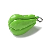 Resin Iron Pendants RESI-D280-15-2
