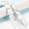 Natural Howlite Beads Strands G-K357-D05-01-2