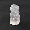 Natural Selenite Figurines DJEW-Q006-01L-3